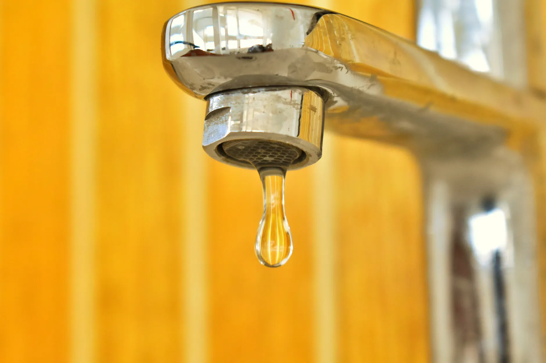 Blocked Drains & Sewage Backing Up